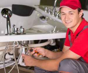 About Plumbers Pros Langeloth, PA